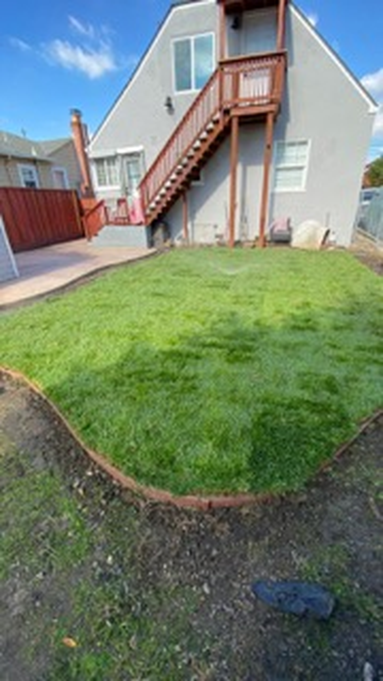 Before and after - after